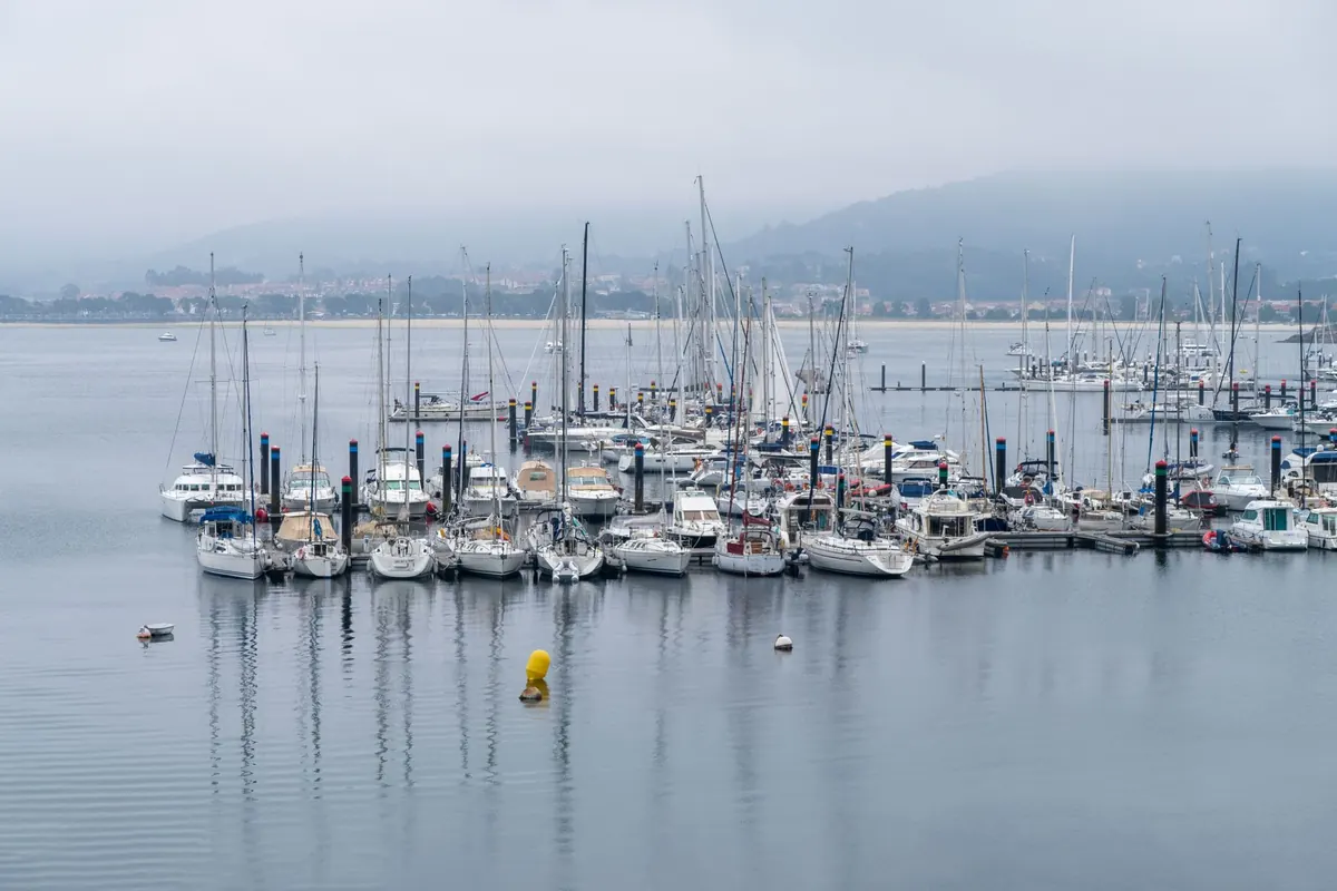 Beginner's Guide to Reading Harbor Tides and Currents