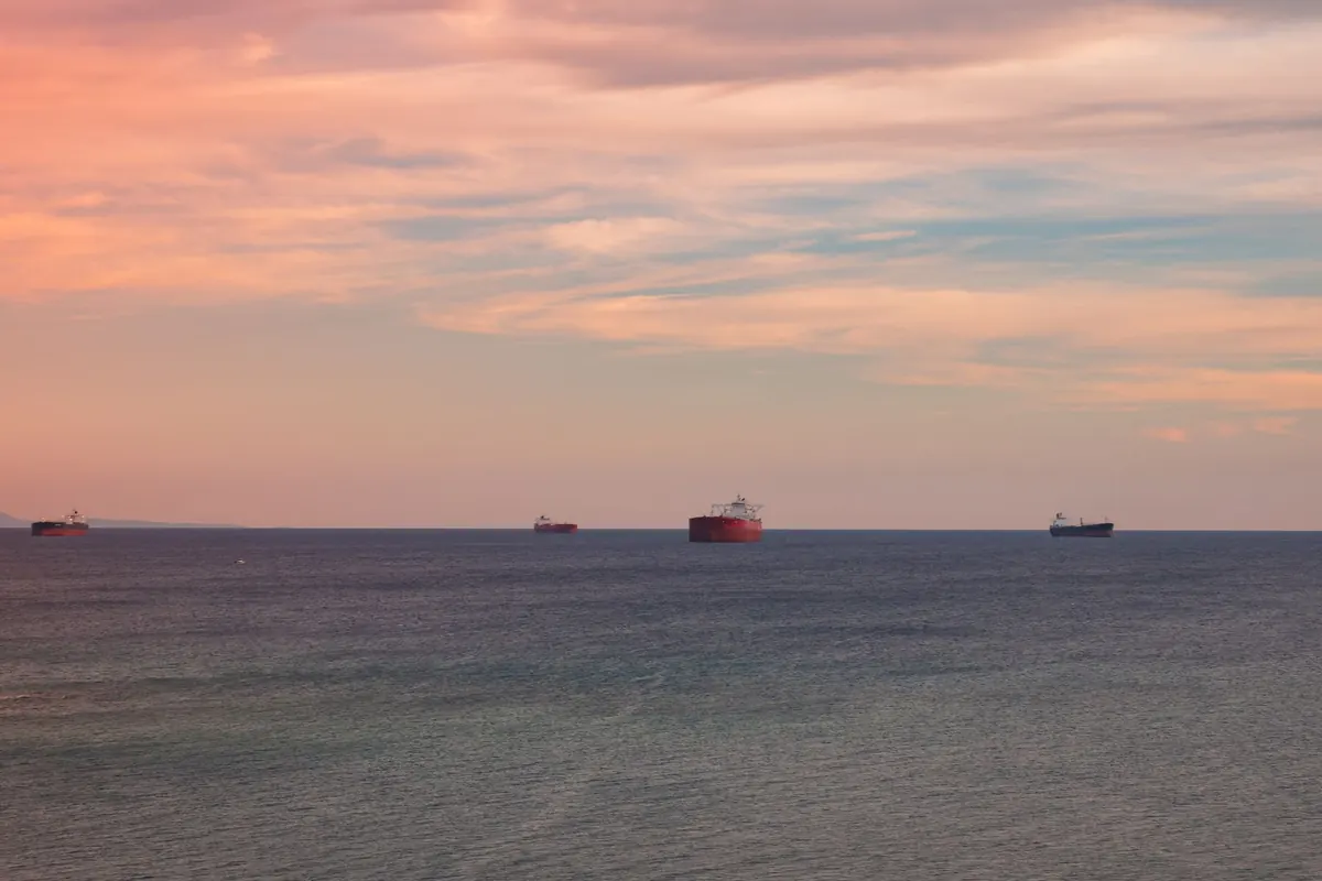 Comparing Bulk Carriers, Container Ships, and Ro-Ro Vessels